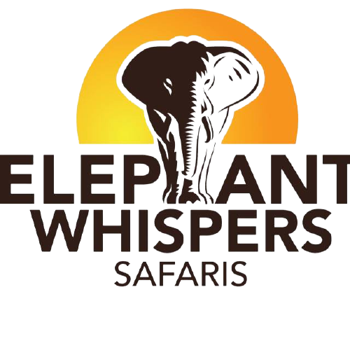 elephant whispers