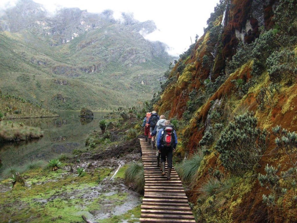 Rwenzori mountain