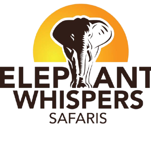pumba safari lodge uganda