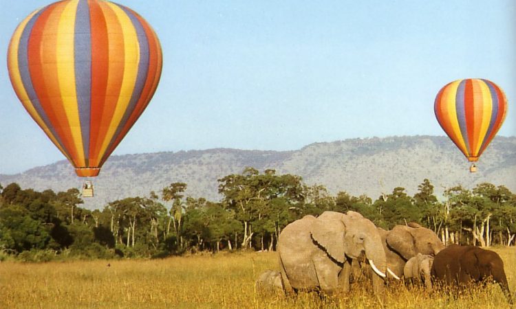 Uganda Safaris