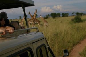 game drive in Rwanda