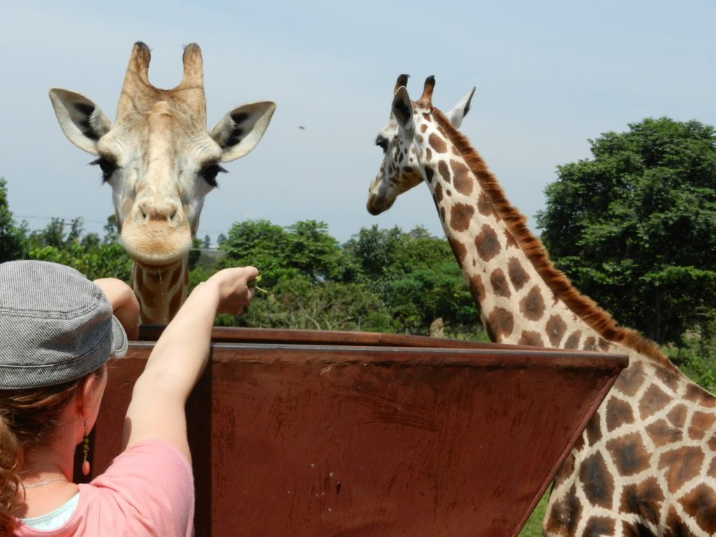 Entebbe zoo