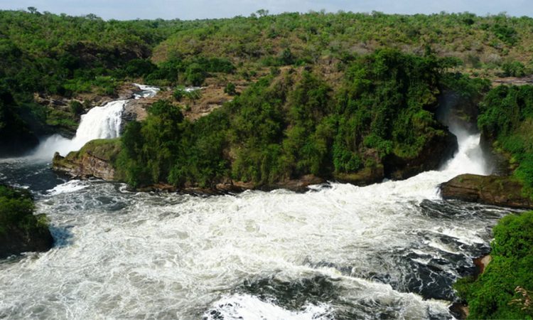 Park entrance fees for Murchison falls national park