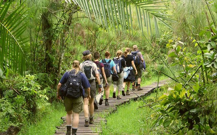 Activities in Kibale forest national park