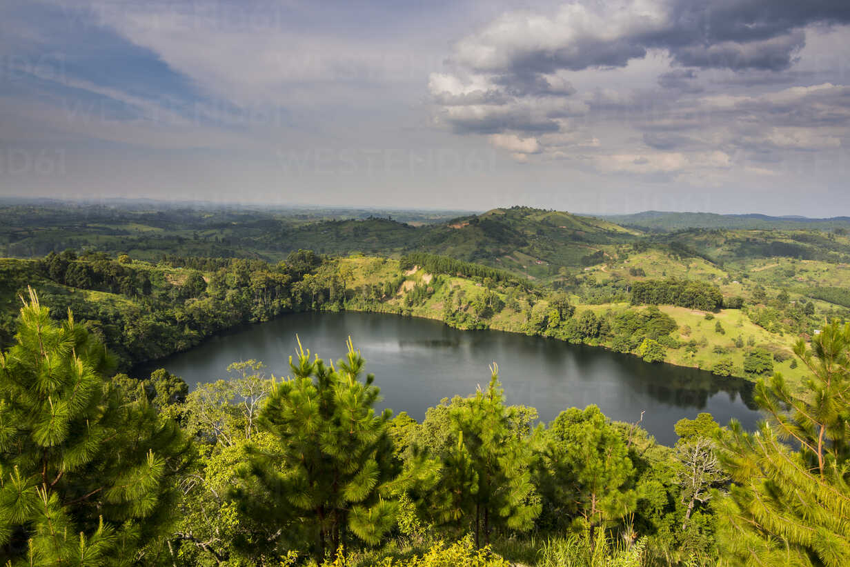 Activities in Kibale forest national park