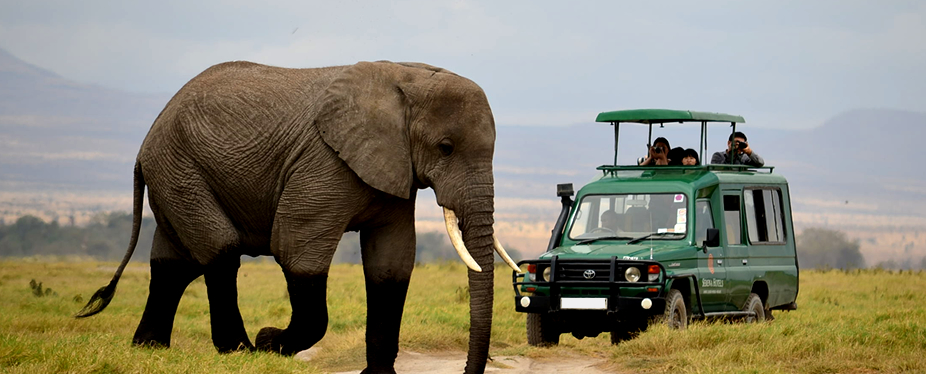 2 Days Akagera national park safari